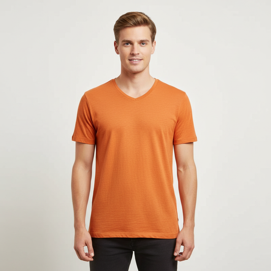 THE VENICE V-NECK TEE
